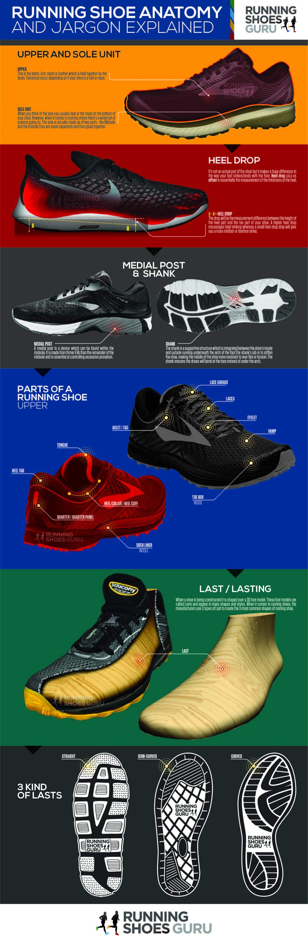 Anatomy of a Running Shoe - Infographic Portal