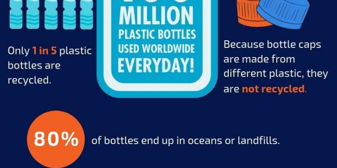 Plastic Bottle Consumption and Recycling | Infographic Portal